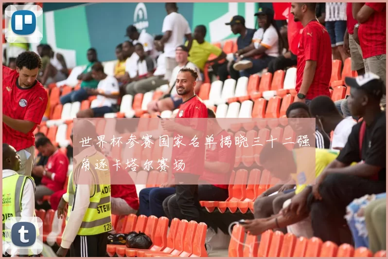 世界杯参赛国家名单揭晓三十二强角逐卡塔尔赛场