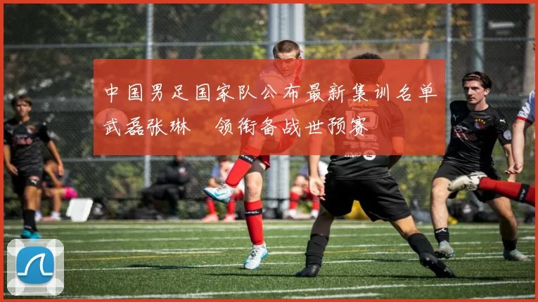 中国男足国家队公布最新集训名单武磊张琳芃领衔备战世预赛
