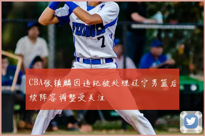 CBA张镇麟因违纪被处理辽宁男篮后续阵容调整受关注