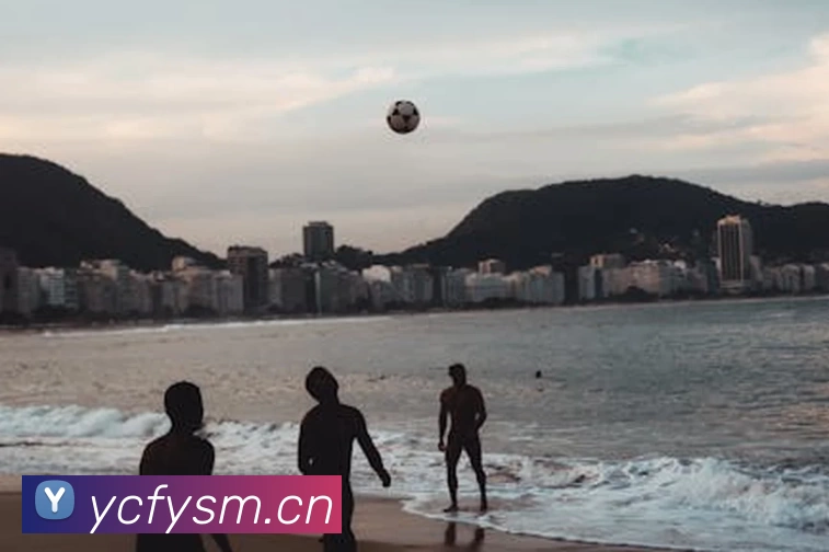 多媒体互动体验